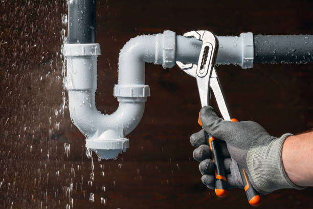 Professional Plumbing technician working in South Rockwood, MI